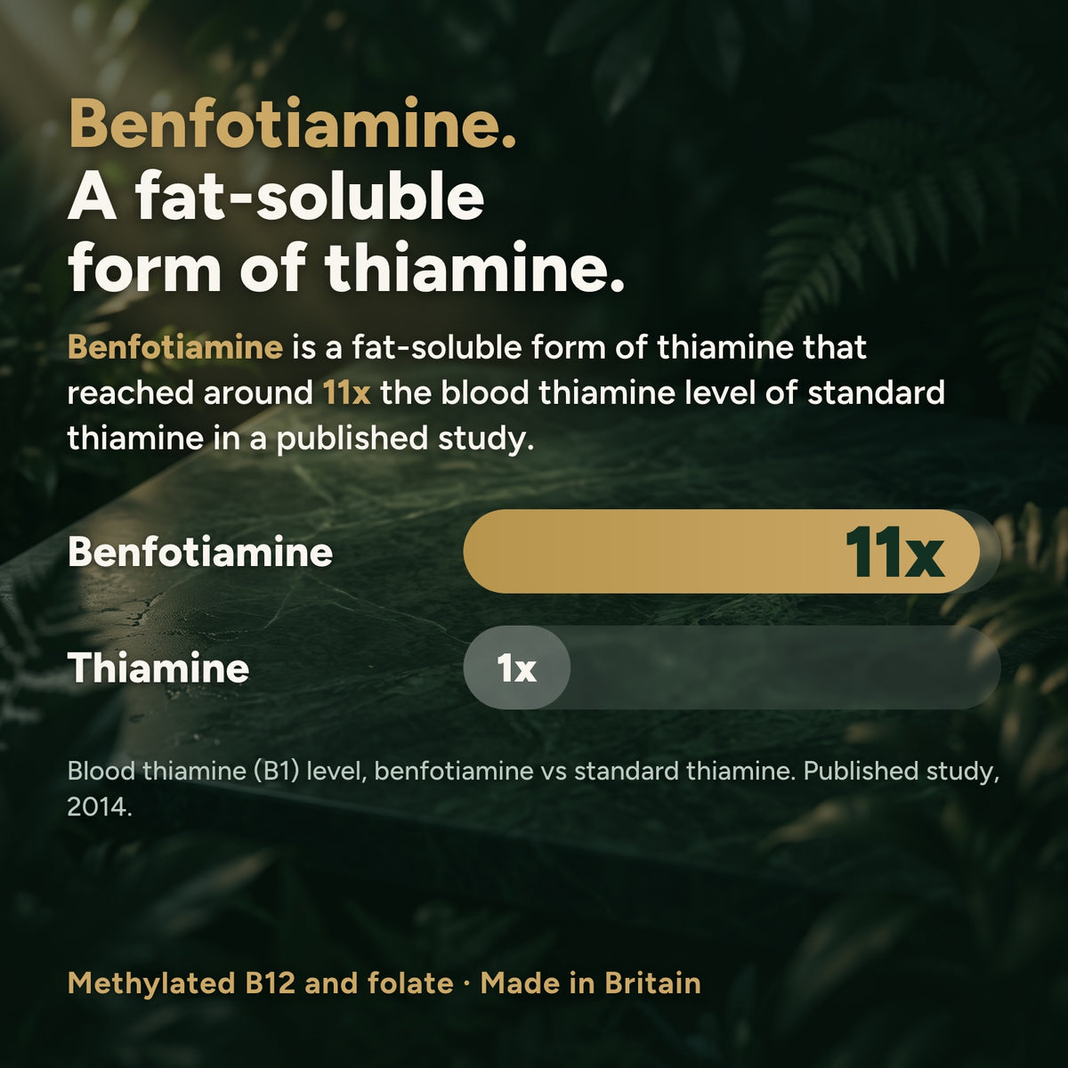 Benfotiamine, a fat-soluble form of thiamine, reached around 11x the blood thiamine level of standard thiamine in a published pharmacokinetic study (2014).