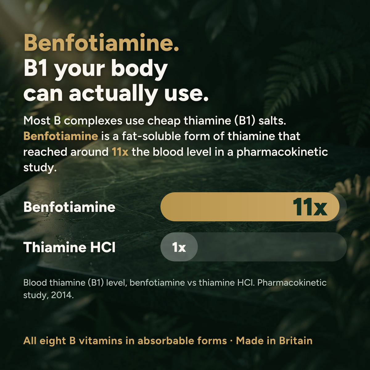 Benfotiamine reached around 11x the blood thiamine level of thiamine HCl in a pharmacokinetic study