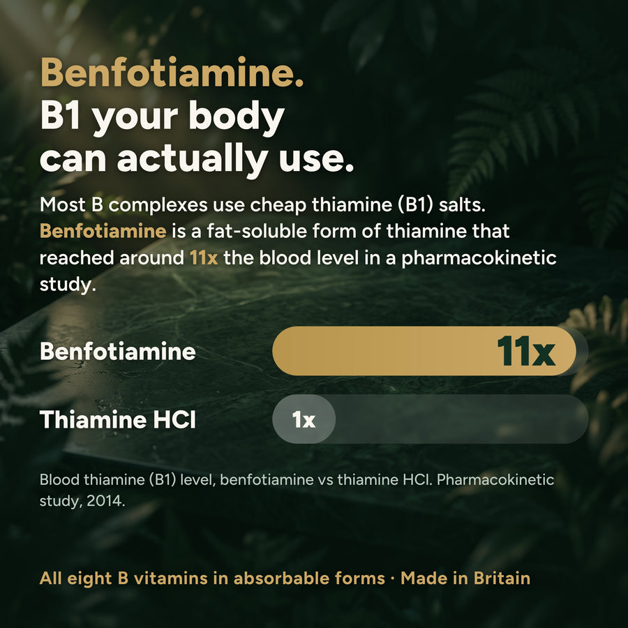 Benfotiamine, a fat-soluble derivative of thiamine that reached around 11 times the blood level of thiamine HCl in a pharmacokinetic study