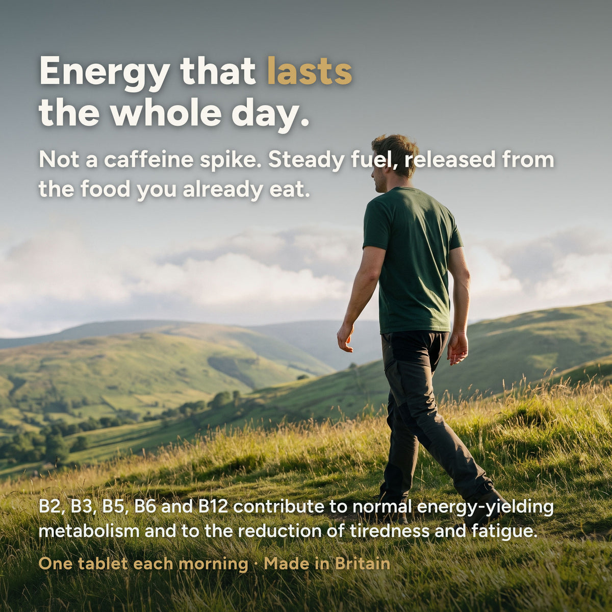 Energy that lasts the whole day, steady fuel released from the food you already eat