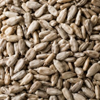 Sunflower seeds